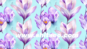 谷歌SEO是什么？全面解讀搜索引擎優化