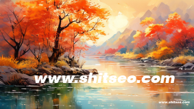 網站設計制作，打造專業的數字門戶