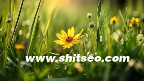 小紅書做運營怎么樣