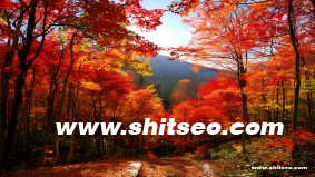 黃岡網(wǎng)絡(luò)推廣：提升企業(yè)在線影響力與市場(chǎng)競(jìng)爭(zhēng)力的實(shí)用策略