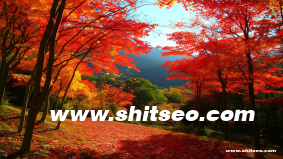 孝感網站SEO：提升本地企業在線可見度的關鍵策略