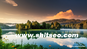 提升品牌曝光與競(jìng)爭(zhēng)力——張家界網(wǎng)站SEO優(yōu)化全攻略