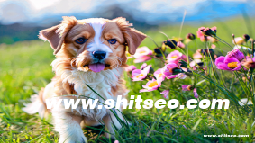 公共郵箱是什么意思？對企業(yè)有什么好處？