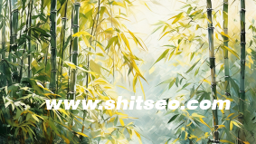 網絡賺錢之新形式網站SEO