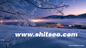 cwp-64網站域名SEO優化分析：提升網站排名和流量的策略