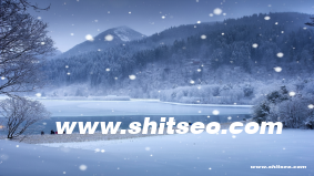 77se77網站域名SEO優化分析：提升搜索排名與流量的核心策略