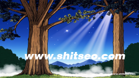 重慶網(wǎng)站SEO優(yōu)化：提升本地競(jìng)爭(zhēng)力與搜索排名的關(guān)鍵策略