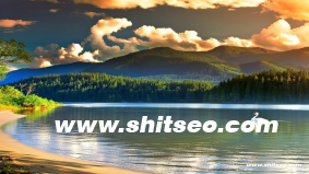 開封網站SEO優(yōu)化策略：提升企業(yè)在線可見性與市場競爭力