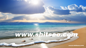 滄州網站推廣的成功之道：精準策略助力企業騰飛