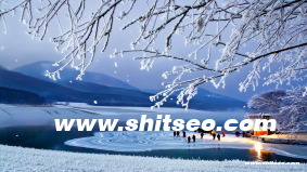 bgn-041網站域名SEO優化分析：如何提升網站流量和排名