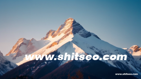 找工作網(wǎng)站前十排名