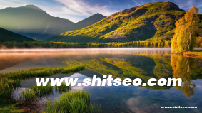 XXNX19網(wǎng)站域名：獨(dú)特選擇助力品牌發(fā)展與市場競爭