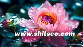 手機網站制作教程軟件哪個好