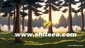 提升網(wǎng)站排名與流量的核心——岳陽(yáng)網(wǎng)站SEO優(yōu)化策略