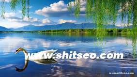 開封網絡推廣：提升品牌曝光與客戶轉化的高效策略