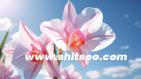 小紅書運(yùn)營中心，打造高效用戶增長策略