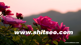 荊州網站優化：提升本地企業在線競爭力的綜合策略