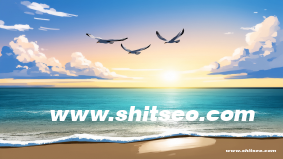 滄州網絡推廣策略：提升品牌曝光與在線轉化率