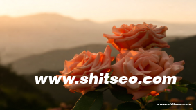 恩施網站推廣：提升本地企業線上競爭力