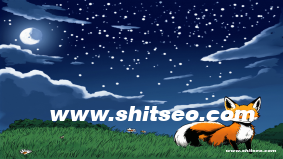 平頂山網站優化：提升本地競爭力與用戶體驗的全面策略