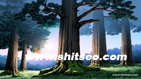 洛陽網絡推廣：助力本地企業實現數字化轉型的關鍵策略