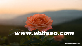 汕頭網站推廣：提升企業網絡知名度和市場影響力的有效方法