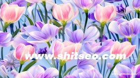 法語獨立站能做谷歌優化嗎？優化法語網站的核心策略解析