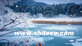 midd-993域名SEO優化分析：提升網站流量與品牌曝光的策略