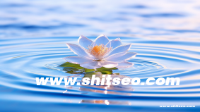 郵件營銷設計：打造高效的郵件推廣策略