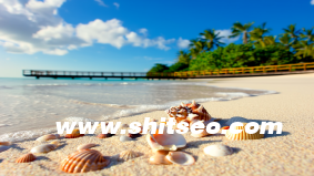 【會(huì)銷SOP流程全解析】標(biāo)準(zhǔn)化執(zhí)行才是業(yè)績爆發(fā)的關(guān)鍵！