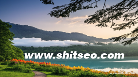 ririai網(wǎng)站域名的SEO優(yōu)勢分析