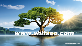 石家莊網站SEO——助力本地企業(yè)占領搜索引擎高地