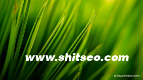 技術導向和市場導向有什么關系？