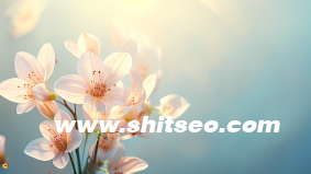 小紅書運(yùn)營指南是什么