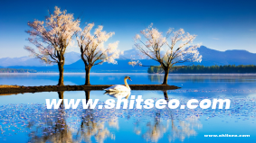 漯河網(wǎng)站推廣：提升本地影響力與市場(chǎng)份額的有效途徑