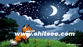 平頂山網站SEO優化：提升網站排名與流量的關鍵策略