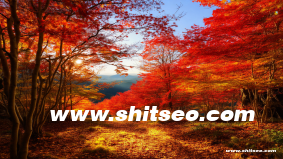 孝感網(wǎng)絡(luò)推廣：提升本地品牌曝光與市場(chǎng)競(jìng)爭(zhēng)力的關(guān)鍵策略