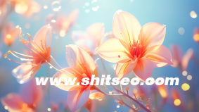 小紅書品牌運(yùn)營方案