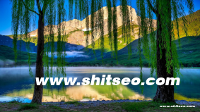 BY1259網站域名：獨特選擇助力品牌發展與網絡營銷