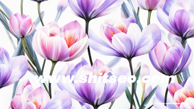 谷歌標(biāo)準(zhǔn)是什么？有收錄標(biāo)準(zhǔn)嗎？