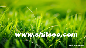 市場導向定價法是什么？