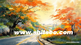 適合菜鳥學習的網站制作教程