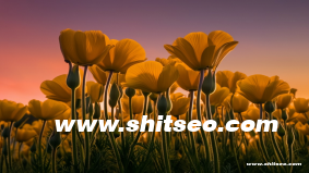 一文搞懂：防爆門怎么隔音