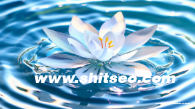 11sss.com這個域名怎么樣？