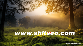 打造品牌知名度與市場優勢——岳陽網站推廣全方位策略