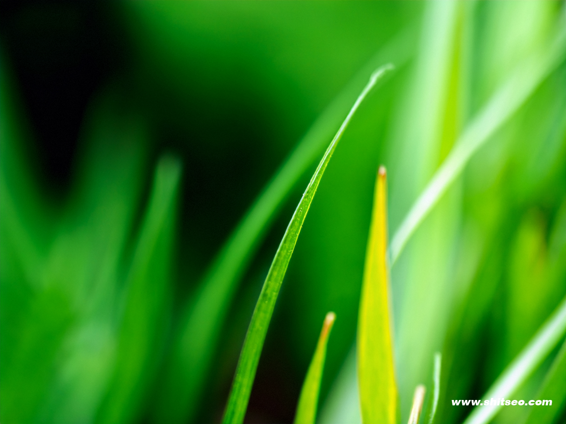 市場(chǎng)導(dǎo)向的例子解釋? 市場(chǎng)導(dǎo)向的例子解釋?