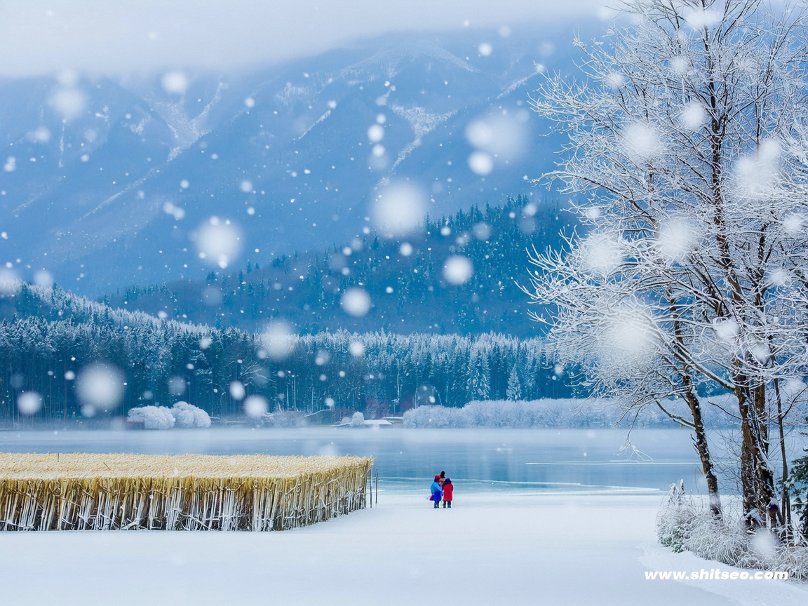 SEO優化原則:實現搜索引擎排名提升的關鍵策略 SEO優化原則:實現搜索引擎排名提升的關鍵策略