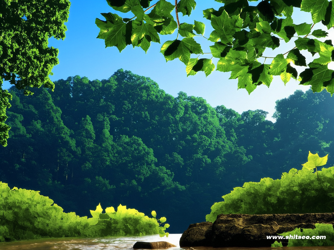 如何通過“郴州網站SEO”提升企業網絡競爭力與品牌曝光 如何通過“郴州網站SEO”提升企業網絡競爭力與品牌曝光